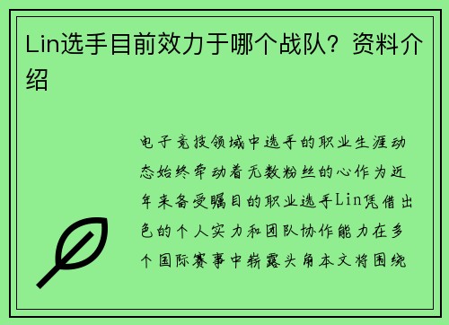 Lin选手目前效力于哪个战队？资料介绍