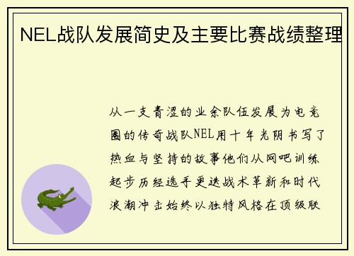 NEL战队发展简史及主要比赛战绩整理